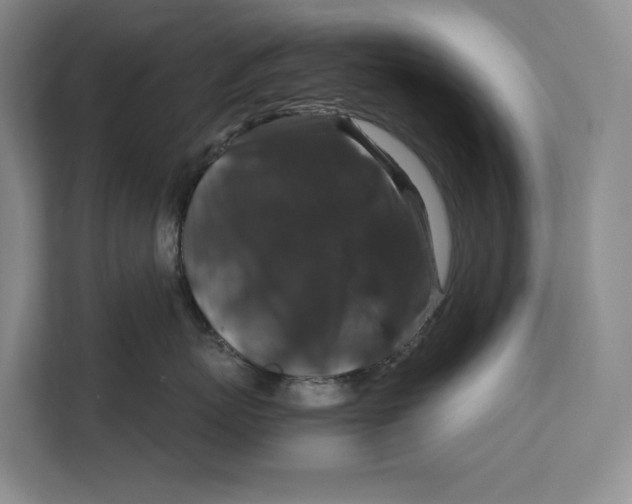 X0000111840767200908131419