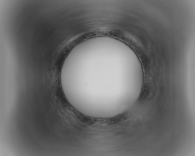 X0000111840773200908131418