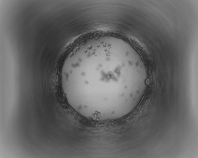 X0000111840776200908131418