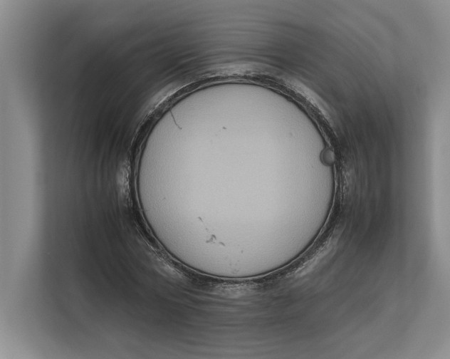 X0000111840778200908131418