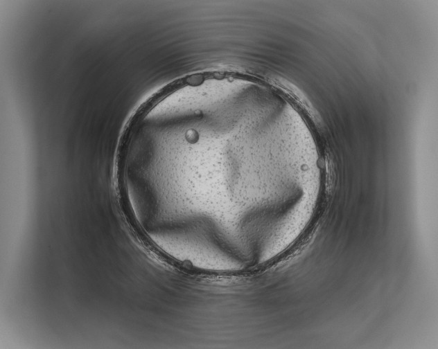 X0000111840780200908131418