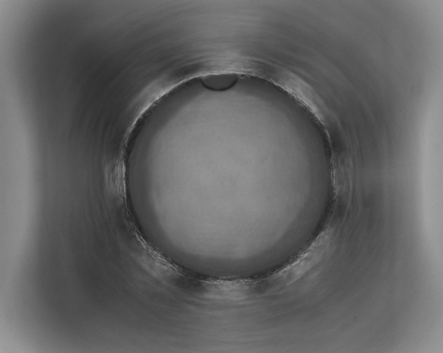 X0000111840781200908131418