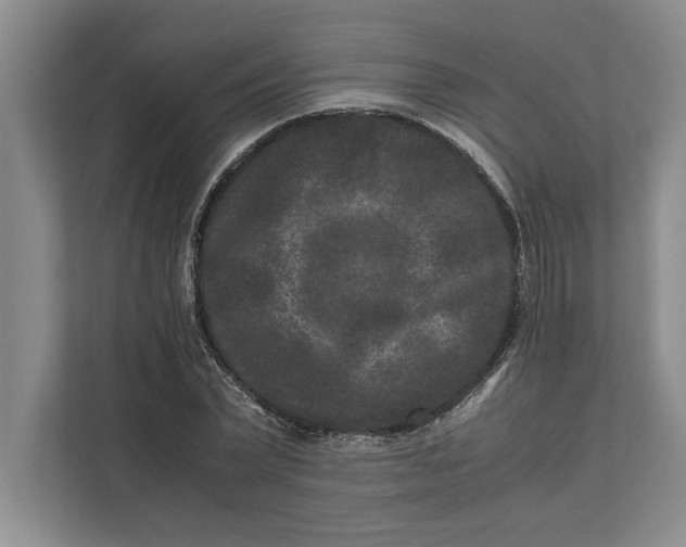 X0000111840783200908131418