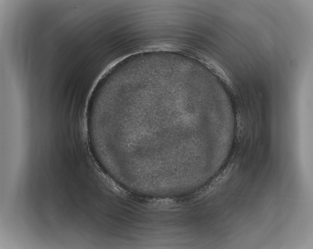 X0000111840784200908131418