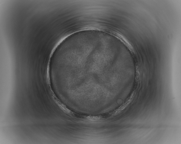 X0000111840788200908131418