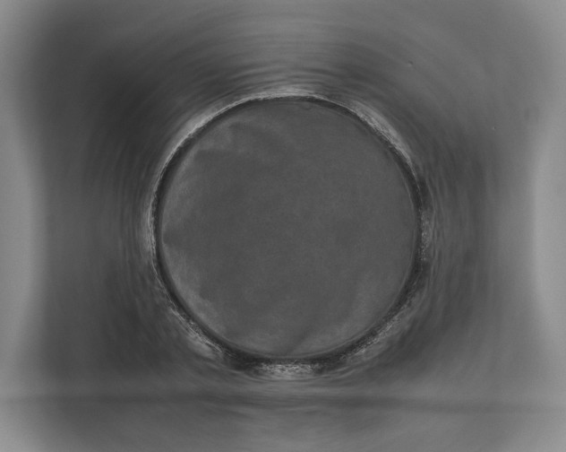 X0000111840789200908131418