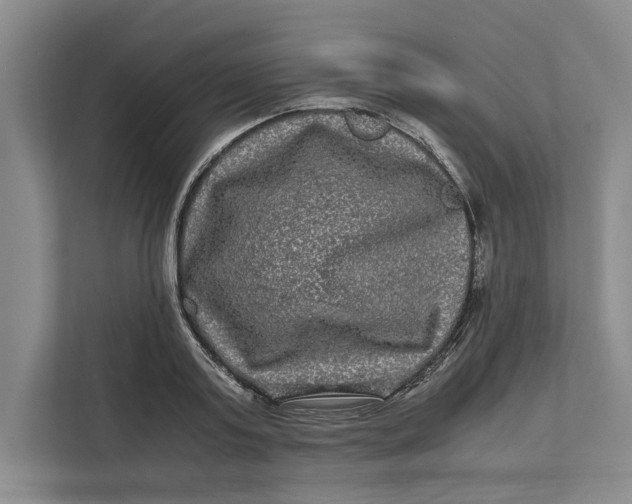 X0000111840795200908131418