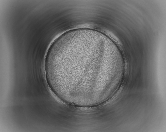 X0000111840800200908131418