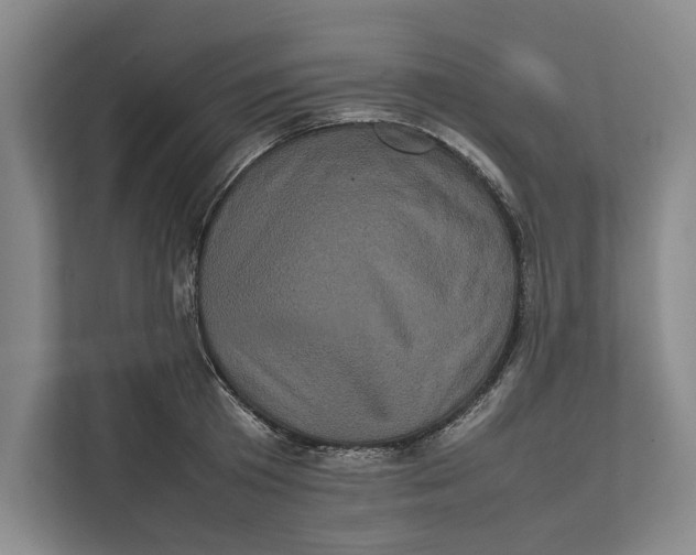 X0000111840801200908131418