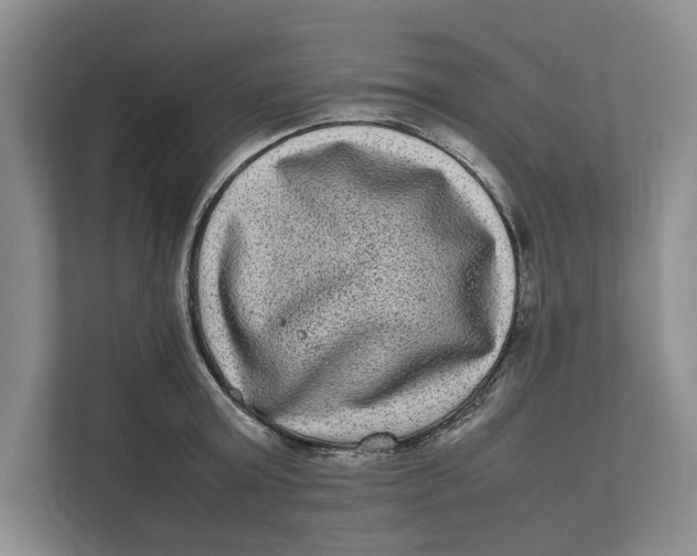 X0000111840803200908131417