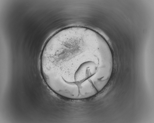 X0000111840807200908131417