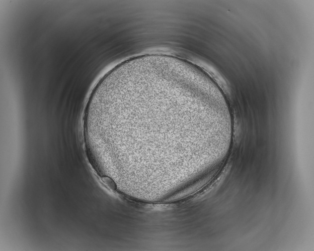 X0000111840808200908131417