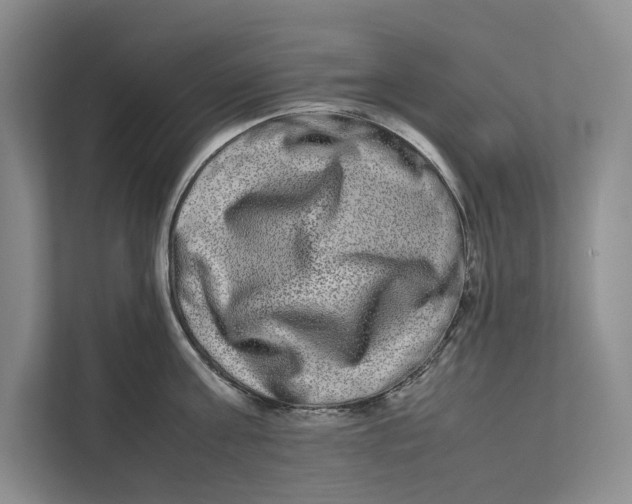 X0000111840811200908131417