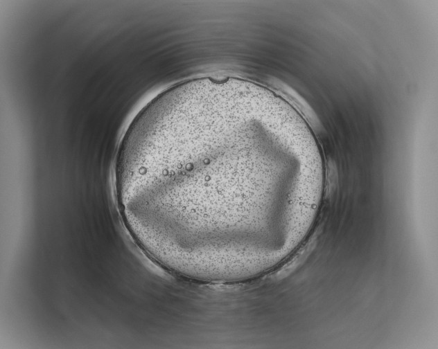 X0000111840812200908131417