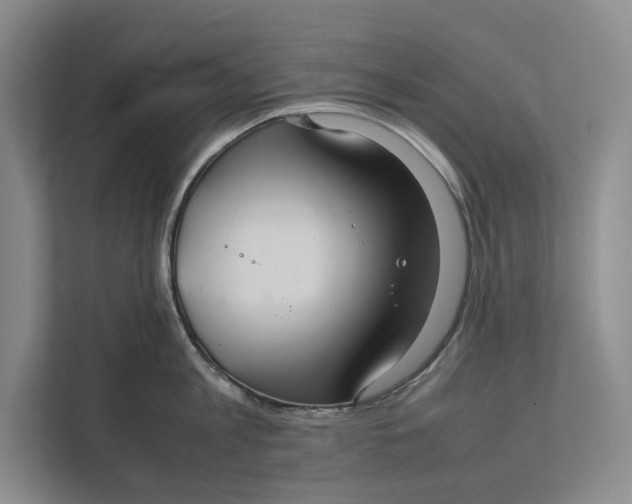 X0000111840813200908131417