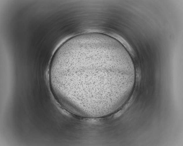 X0000111840814200908131417