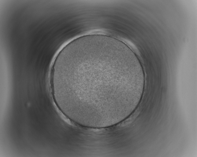 X0000111840816200908131417