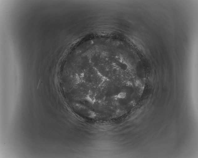 X0000111840817200908131417