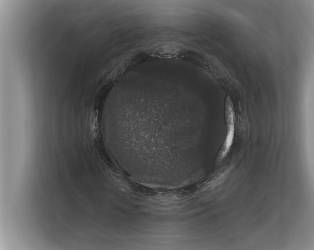 X0000111840818200908131417