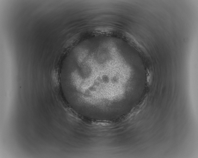 X0000111840819200908131417