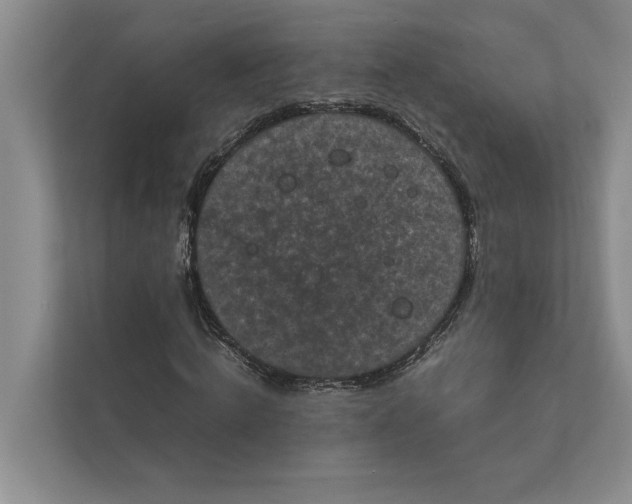 X0000111840820200908131417