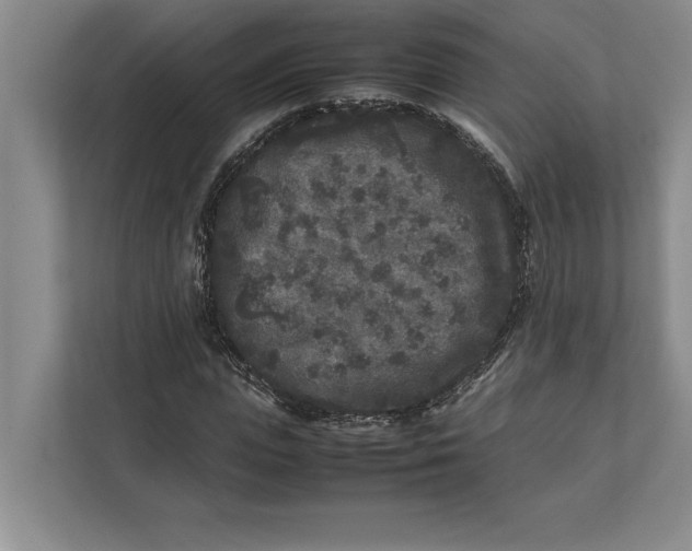 X0000111840823200908131417