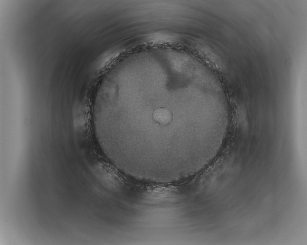 X0000111840824200908131417