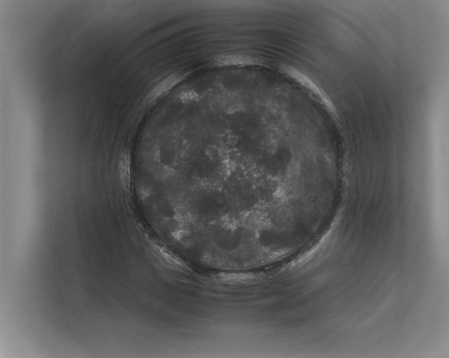 X0000111840825200908131417