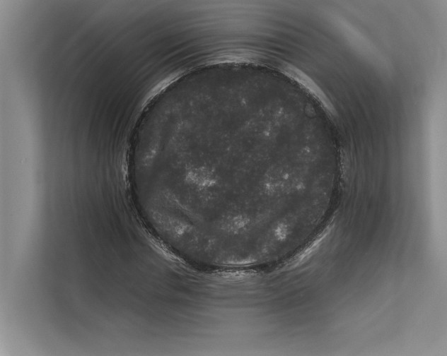 X0000111840826200908131417