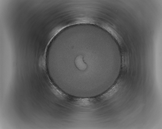 X0000111840828200908131417