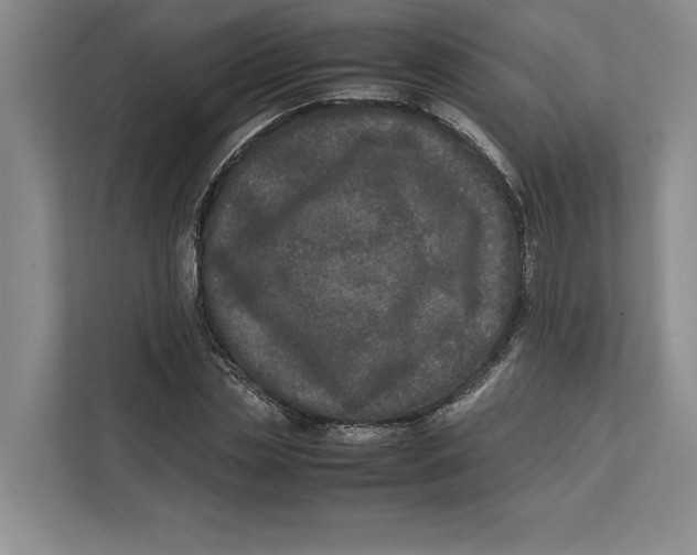 X0000111840829200908131417