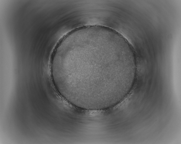 X0000111840832200908131417