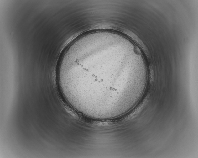 X0000111840834200908131417