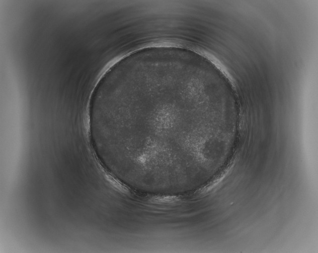 X0000111840837200908131417