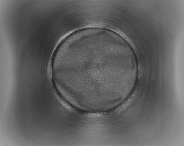 X0000111840838200908131417