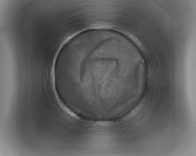 X0000111840840200908131417