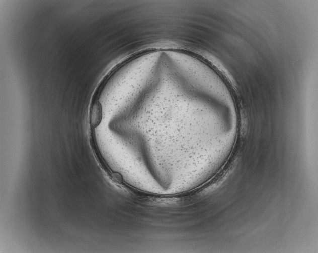 X0000111840845200908131417