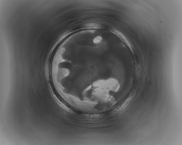 X0000111840851200908131417