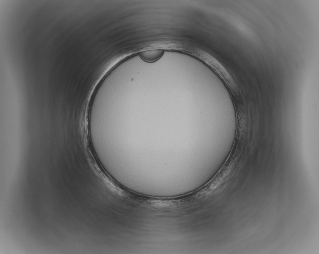 X0000111840852200908131417