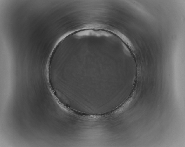 X0000111840854200908131417