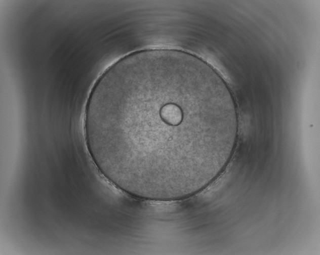 X0000111840856200908131417