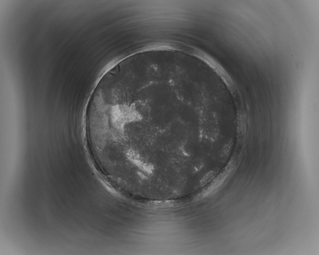 X0000111840858200908131417