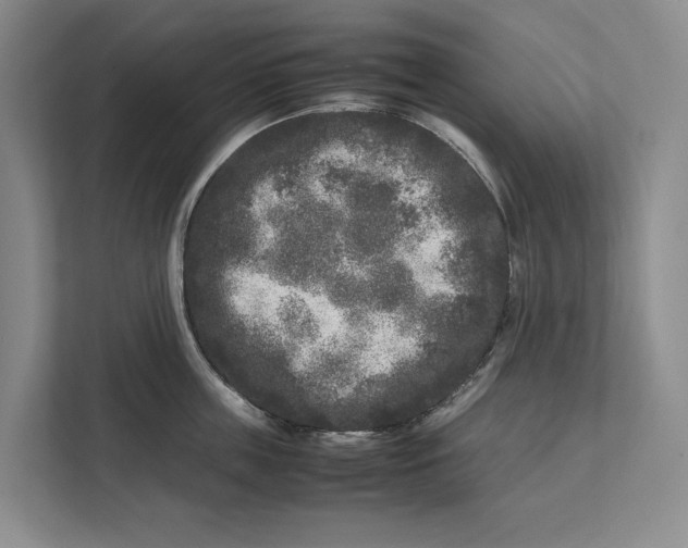 X0000111840859200908131417