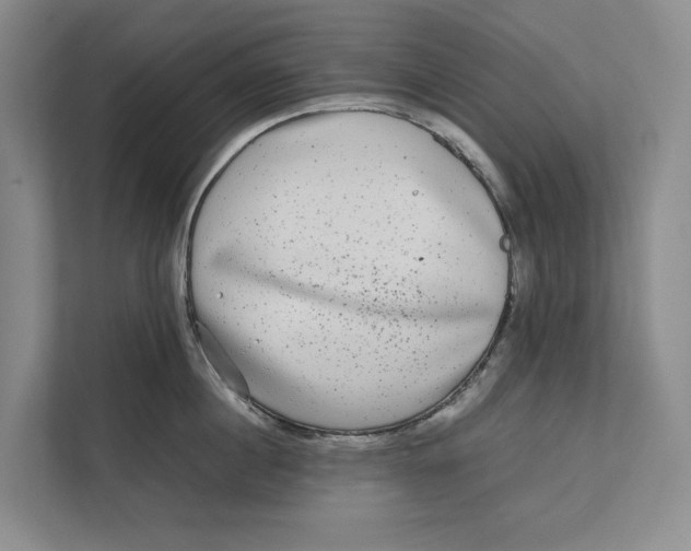 X0000111840860200908131417