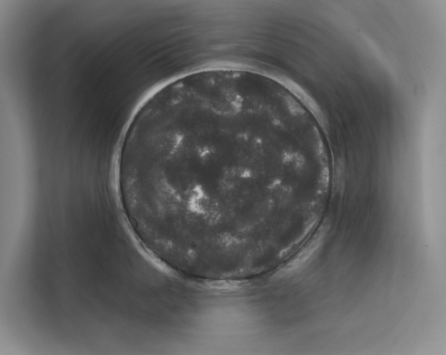 X0000111840862200908131417