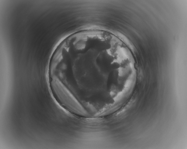 X0000111840863200908131417