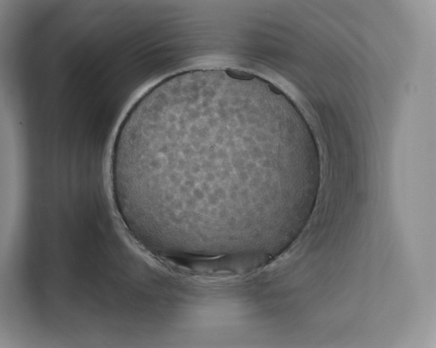 X0000111840864200908131417