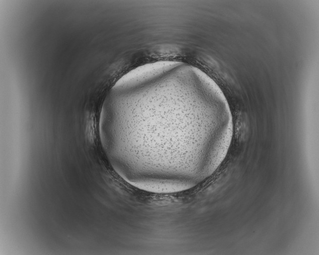 X0000111840866200908131417