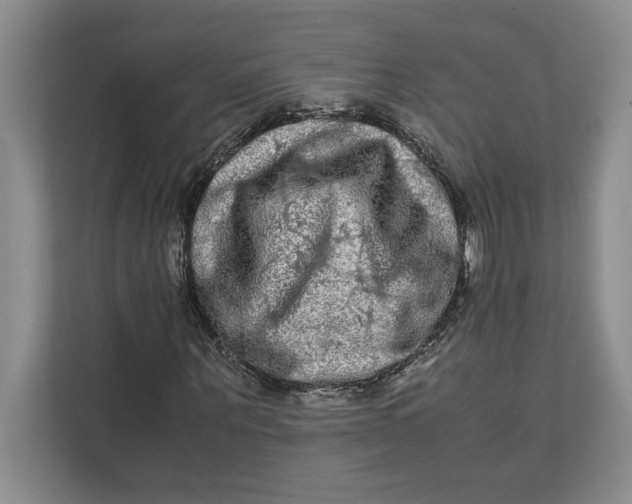 X0000111840867200908131417