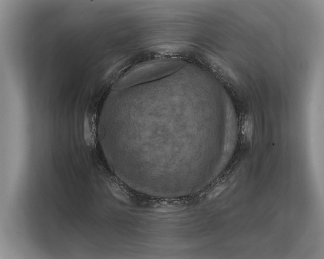 X0000111840868200908131417